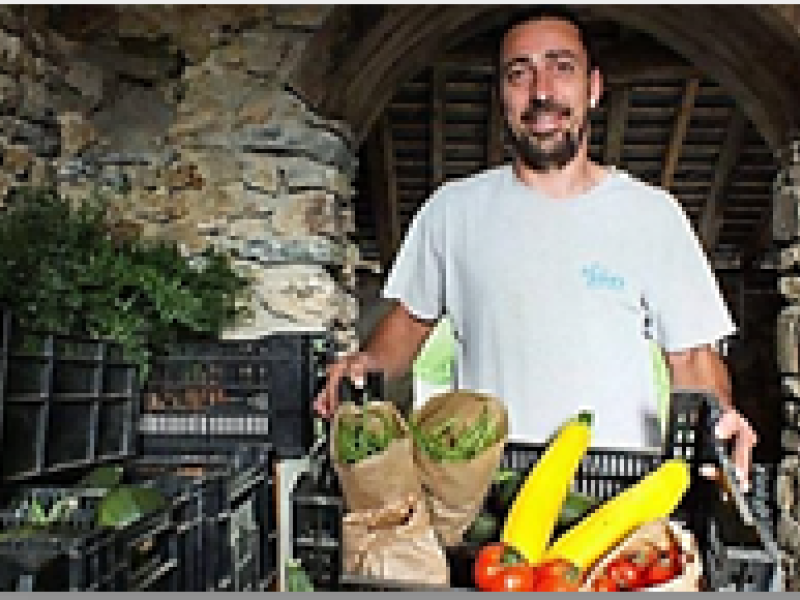 Le potager de Gaël